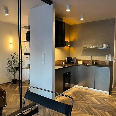 Apartment Widok Marzen Sun&ski Romantic Art House Z Garazem Krynica-Zdrój