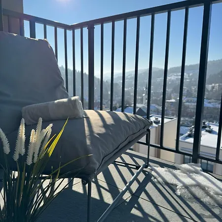 Widok Marzen Sun&ski Romantic Art House Z Garazem * Krynica Zdroj