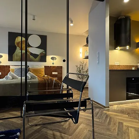 Widok Marzen Sun&ski Romantic Art House Z Garazem Krynica Zdroj